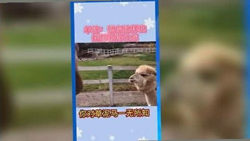 揭秘娱乐圈那些吃瓜趣事与投稿指南